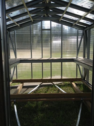 Greenhouse Inside Structure Gainesville FL